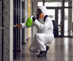 Mold Odor Removal Services